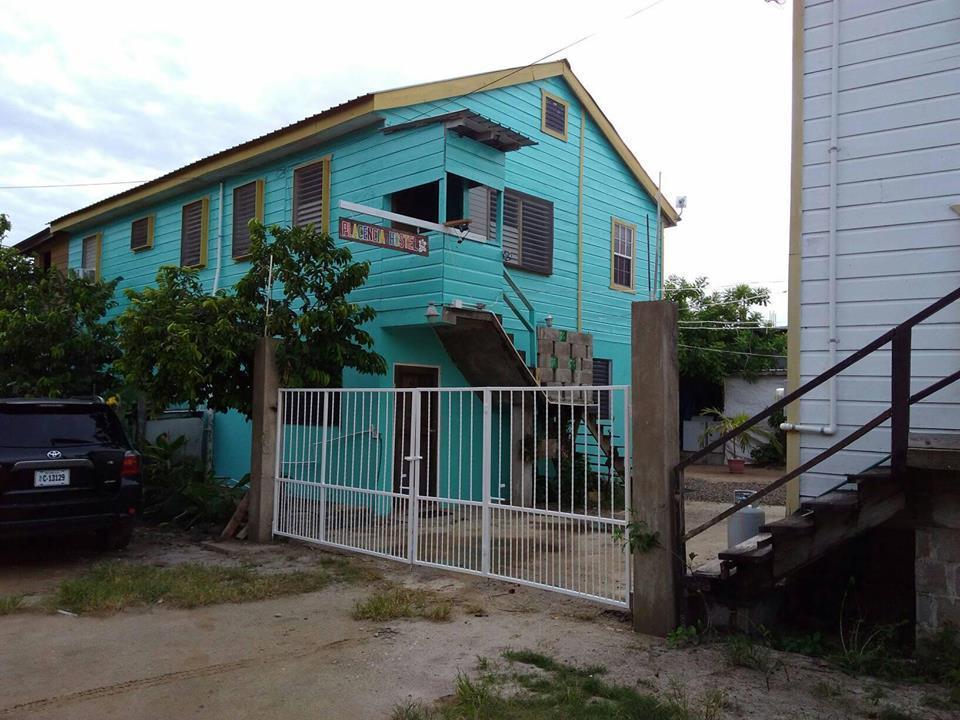 Placencia Hostel エクステリア 写真