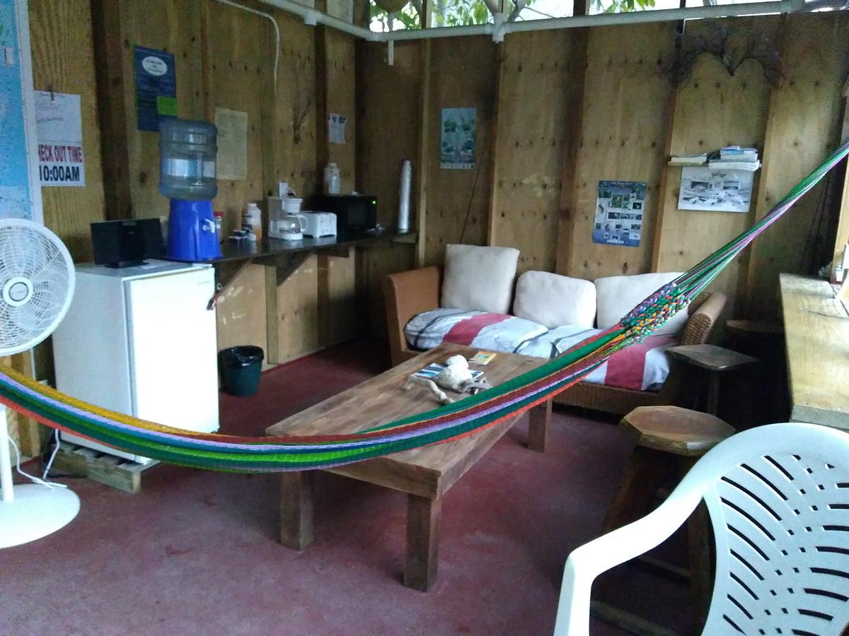 Placencia Hostel エクステリア 写真